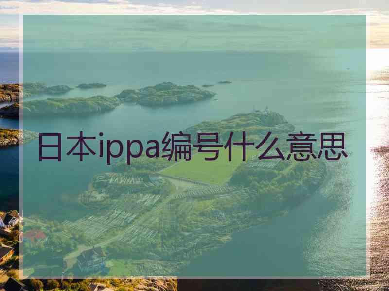 日本ippa编号什么意思