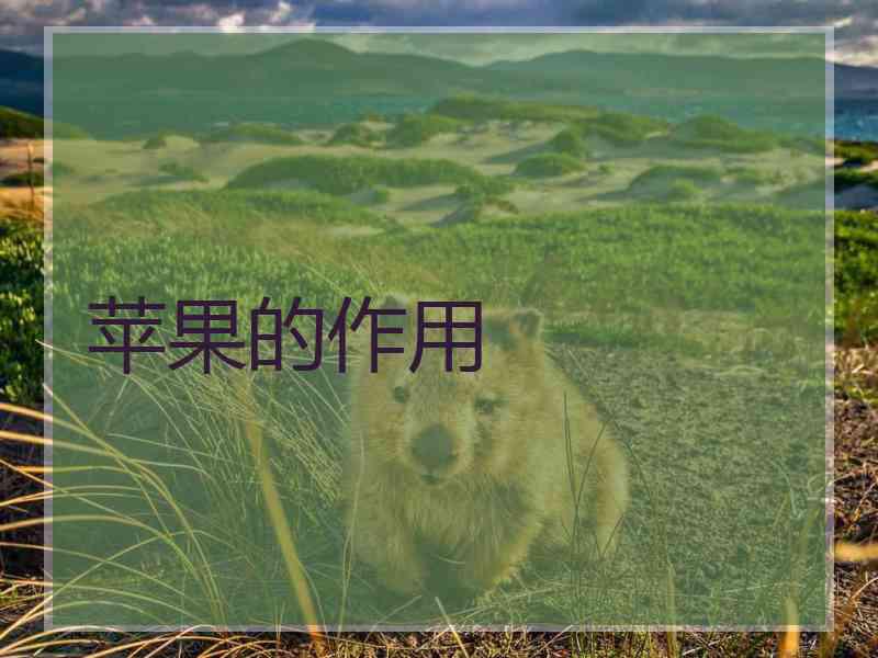 苹果的作用