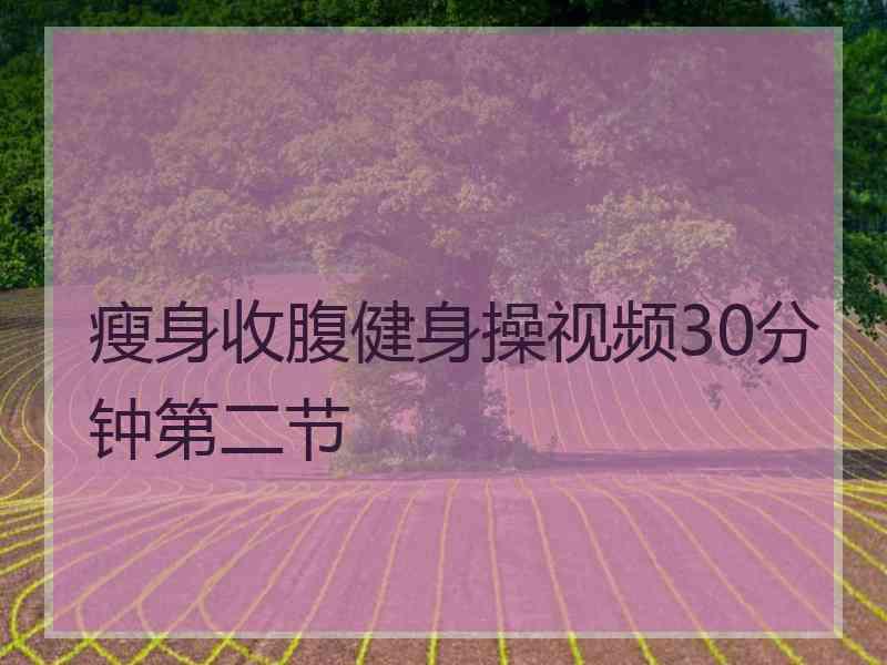 瘦身收腹健身操视频30分钟第二节