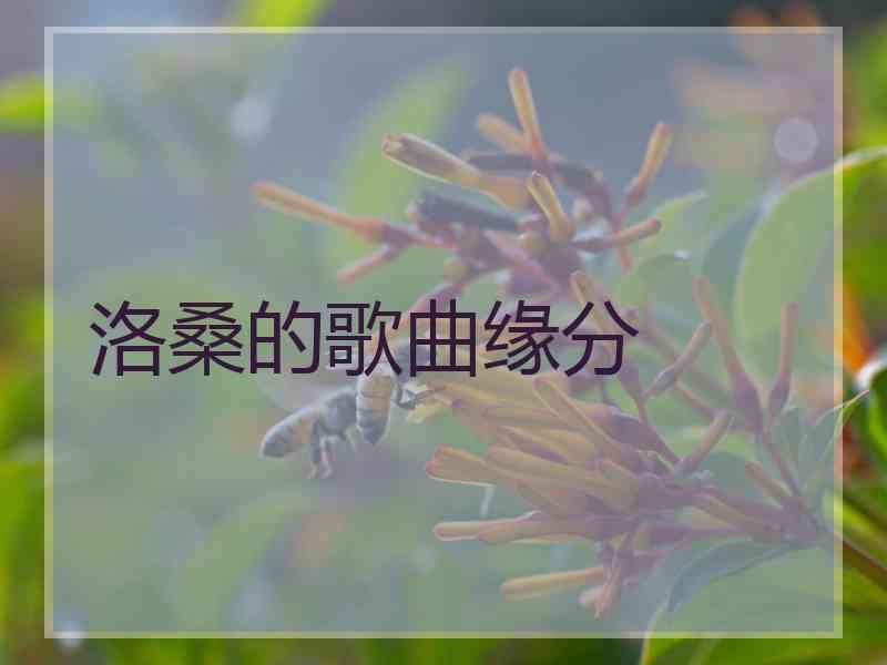 洛桑的歌曲缘分