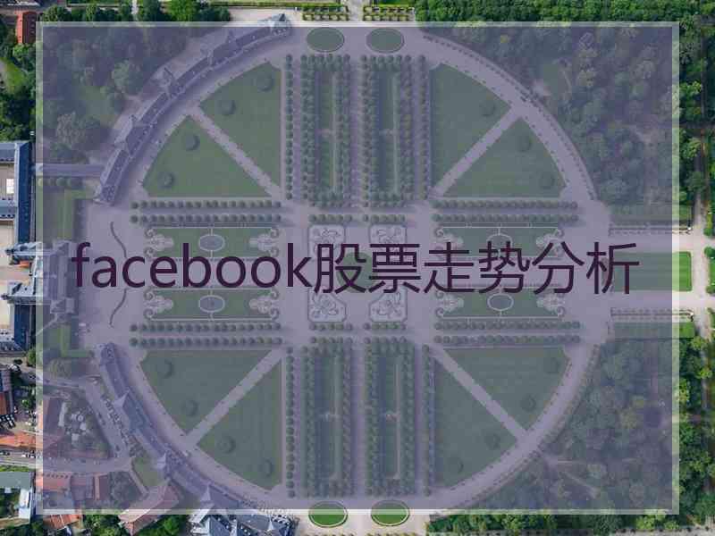 facebook股票走势分析