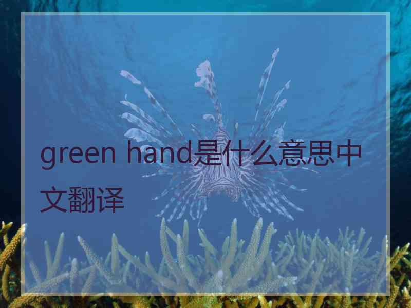 green hand是什么意思中文翻译