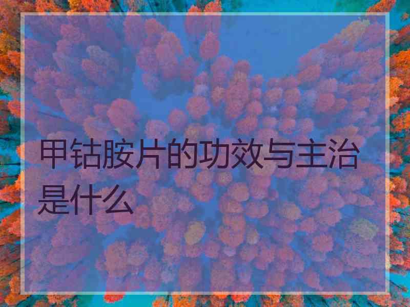 甲钴胺片的功效与主治是什么