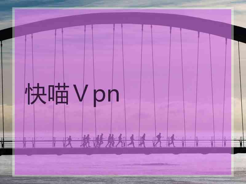 快喵Ⅴpn