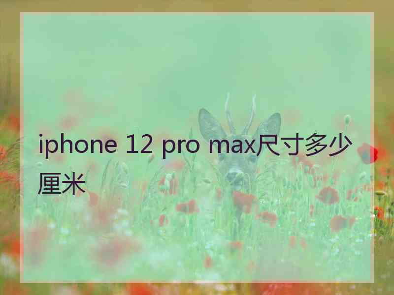 iphone 12 pro max尺寸多少厘米