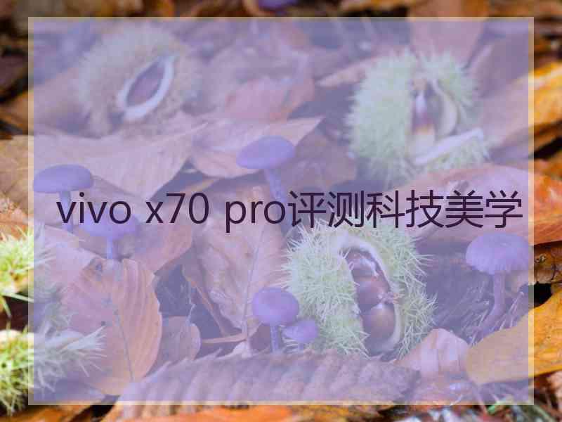 vivo x70 pro评测科技美学