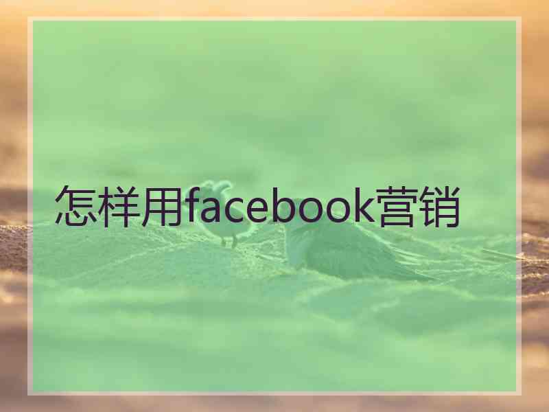 怎样用facebook营销